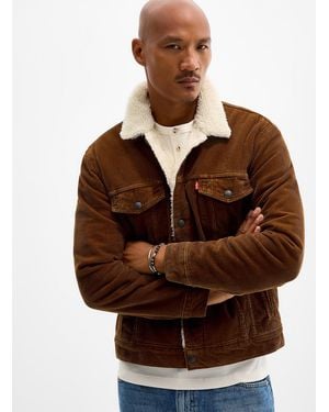 Levi's High - Brown