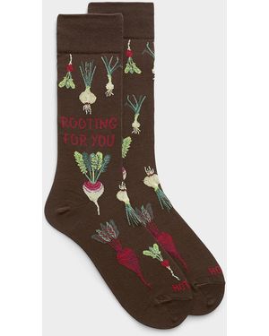Hot Sox Rooting For You Socks - Brown