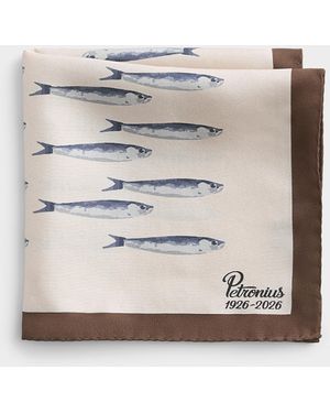 Petronius Sardines Pocket Square - Grey
