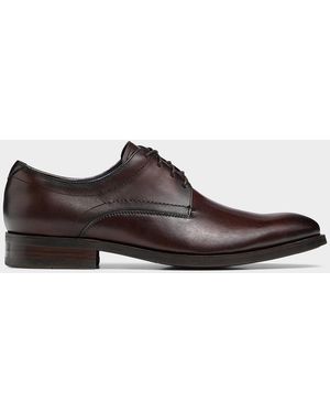 Steve Madden Helfant Derby Shoes Men - Brown