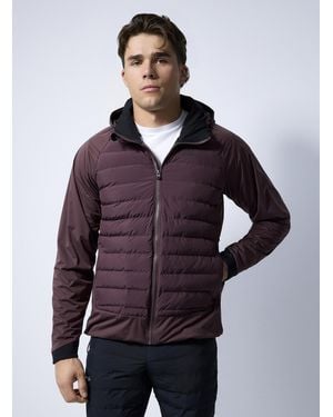 C.r.a.f.t Adv Pursuit Semi - Purple