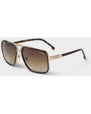 Carrera Gold - Brown