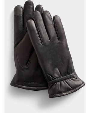 Auclair Demi Lined Leather Gloves - Black
