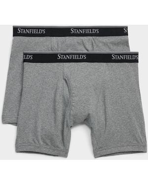 Stanfield's 6" Ultra - Grey