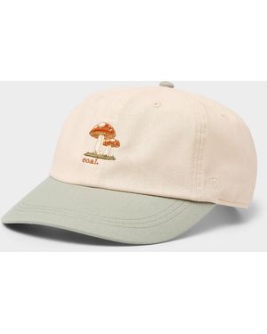 Coal Evergreen Mini - Natural
