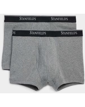 Stanfield's 3" Solid Ultra - Grey