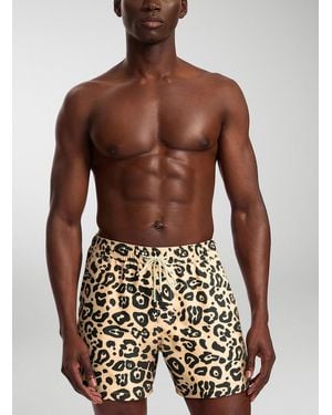 Oas Leopard Swim Short - Multicolour