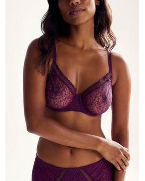 Simone Perele Comete Dotted Lace Sheer Full - Red