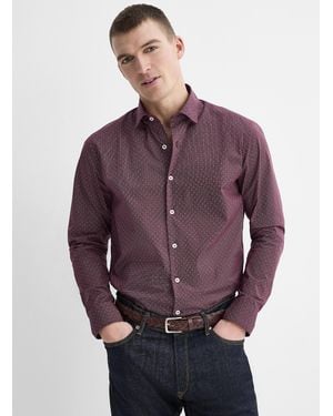 Le 31 Multi - Purple