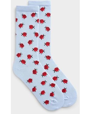Simon's Little Ladybug Socks - White