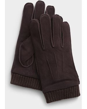 Le 31 Ultra - Purple