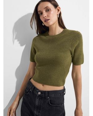 Icône Rib - Green