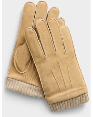 Le 31 Ultra - Natural