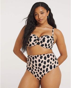 Panache Kara High Waist Bikini Brief - Multicolour