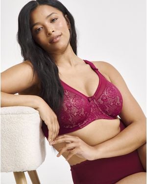 Berlei Beauty Lace Minimiser Bra Burgund - Pink