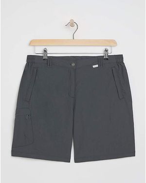 Regatta Chaska Shorts Ii - Grey