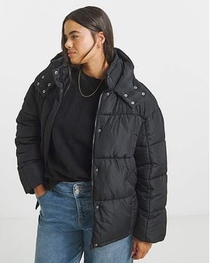 Simply Be Padded Short Coat - Black