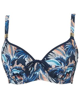 DORINA Curves Tasmania Wired Bikini Top - Blue