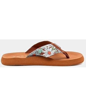 Rocket Dog Adios Toe Post Sandals - Brown