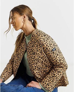 Regatta Mira Jacket - Brown