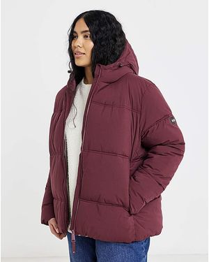 Regatta Roxienne Coat - Purple