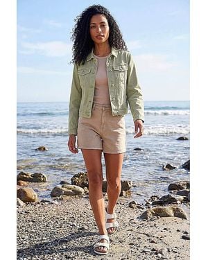 Roman Roman Classic Cotton Denim Jacket - Blue