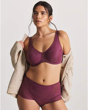 Triumph Wild Rose Sensation Maxi - Purple