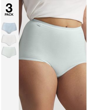Sloggi 3Pk Basic Maxi Briefs Mint Multi - Grey