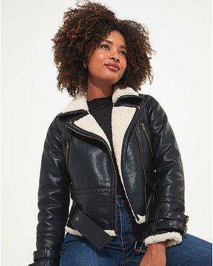 Joe Browns Must Have Aviator - Grey
