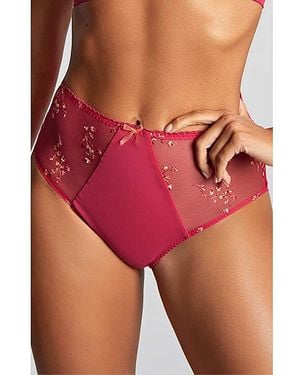 Panache Meadow Deep Knicker - Red