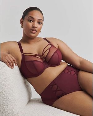 Elomi Sachi Full Fit Knicker - Brown