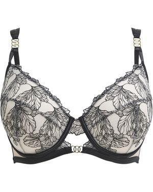 Figleaves Emilia Balcony Bra - Black