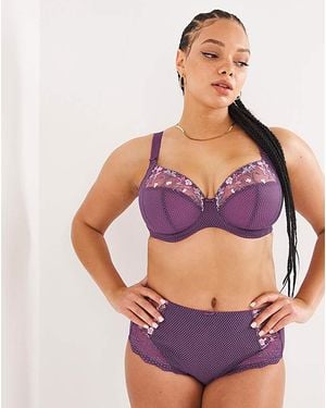 Elomi Charlie Full Knicker - Purple