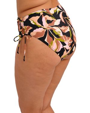 Elomi Ocean Avenue Bikini Brief - Black