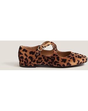 Monsoon Erin Leopard Print Ballet Flats - Brown