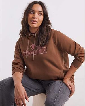 Snowdonia Logo Hoodie - Brown