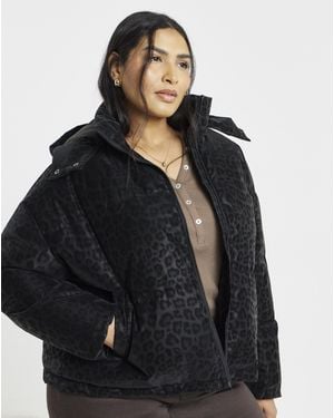 Simply Be Leopard Printed Padded Coat - Black
