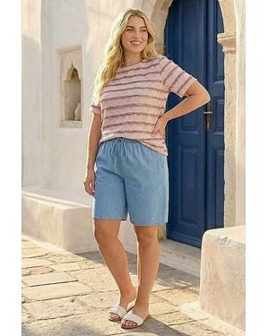 Roman Curve Stripe Frill Lace Top - Grey