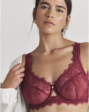 Pretty Secrets Lace Full Cup Bra - Brown