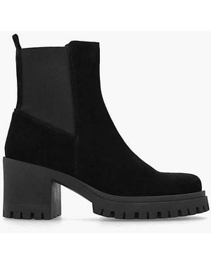 Daniel Footwear Daniel Luxor Suede Chelsea Boots - Black