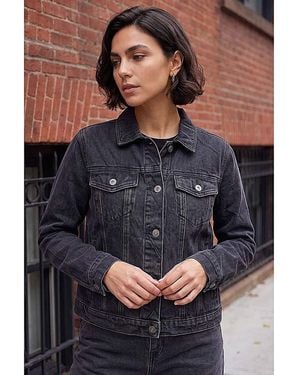 Roman Roman Classic Cotton Denim Jacket - Blue
