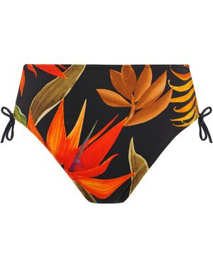Fantasie Pichola Hi Waist Bikini Brief - Pink