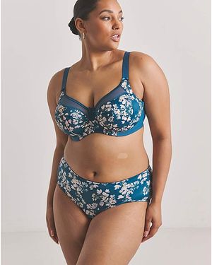 Goddess Kayla Full Fit Knicker - Blue