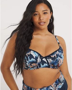 DORINA Curves Tasmania Wired Bikini Top - Blue