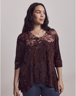 Julipa Velour Devoure Top - Brown
