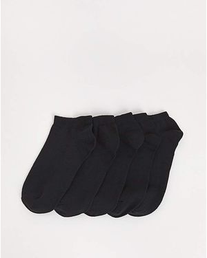 Pretty Secrets 5 Pack Super Value Trainer Liner Socks - Black