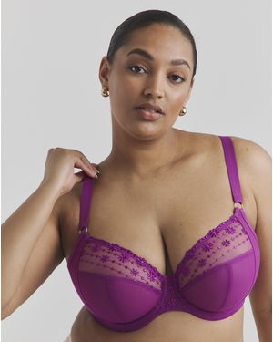 Elomi Matilda Plunge Wired Bra - Purple