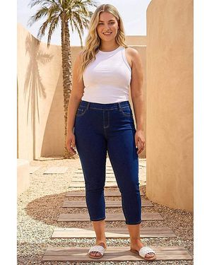 Roman Curve Cropped Denim Jeggings - Blue