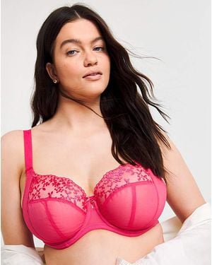 Elomi Zarla Full Cup Wired Bra - Pink