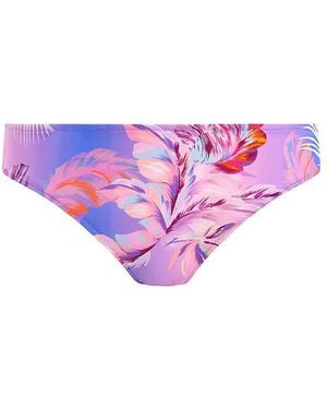 Freya Miami Sunset Bikini Brief - Purple